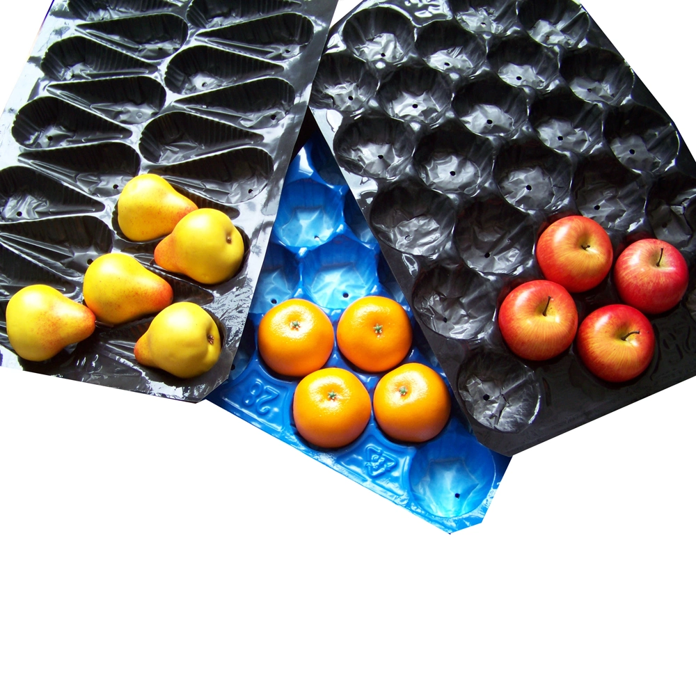 Fruit Meat Customed Eco-Friendly Nonhazardous Packing Foaming