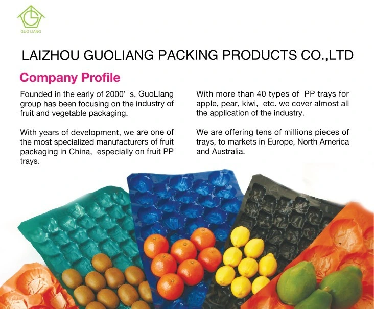 Fruit Meat Customed Eco-Friendly Nonhazardous Packing Foaming