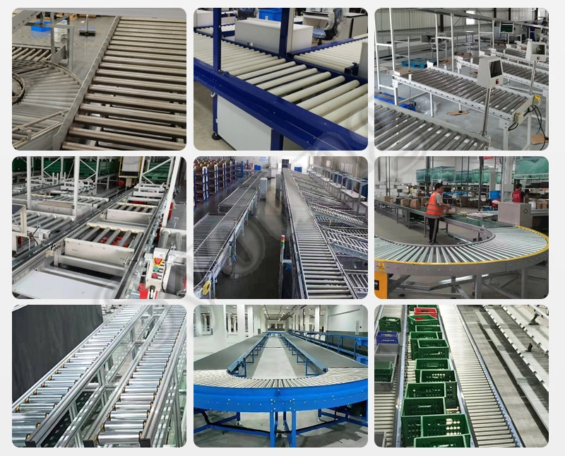 Automatic Food Grade Stainless Steel Fruit Conveying Sorting Packing Roller Conveyor