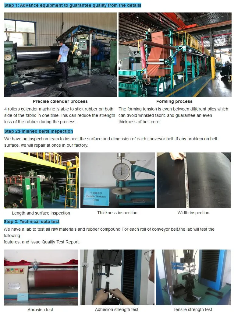 Custom V-Shaped Ep Polyester Ribbed Belt Conveyors System