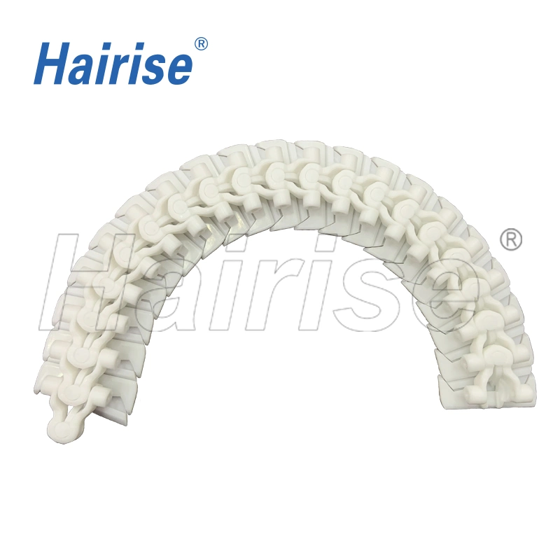 Manufacturer of POM Multiflex Flexible Flat Top Sushi Chain