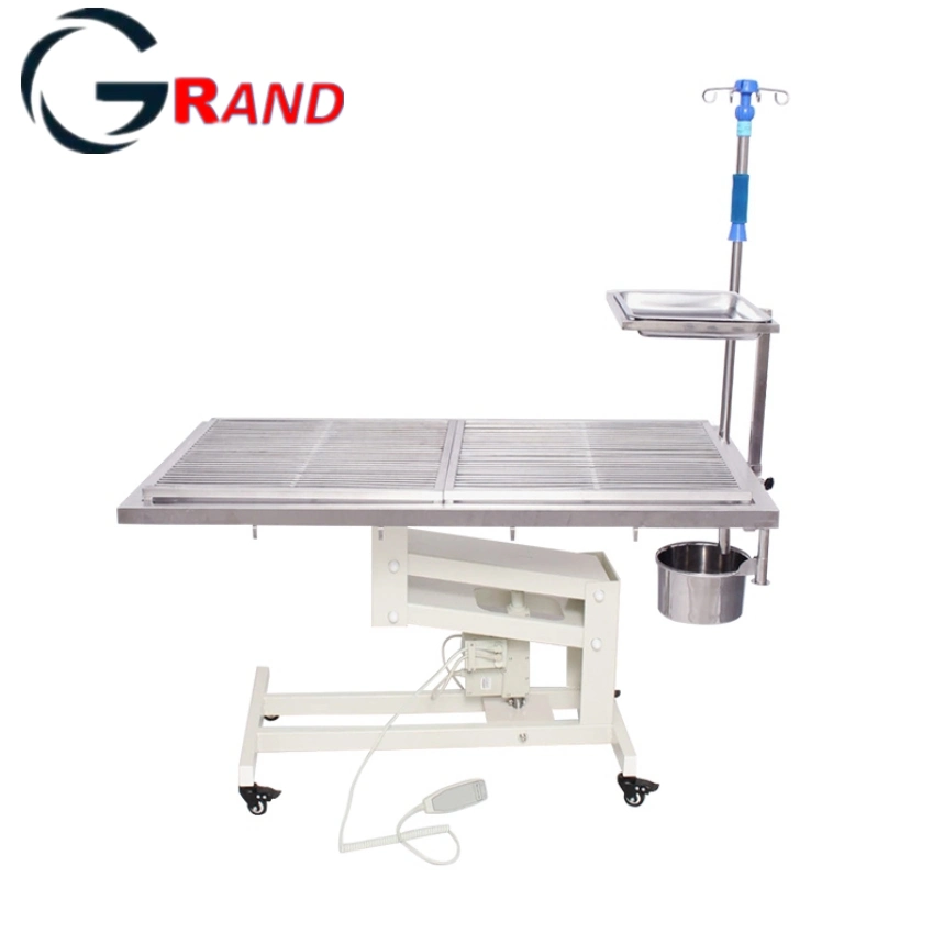 China Manufactured Hot Popular Verterinary Operating Table with Temperature Control