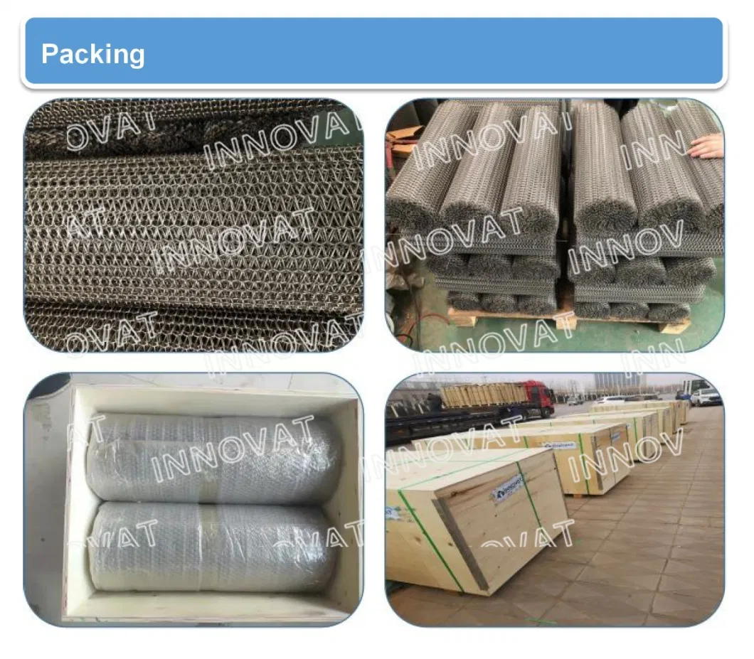 Architectural Decorative Spiral Wires Conveyor Belt Mesh