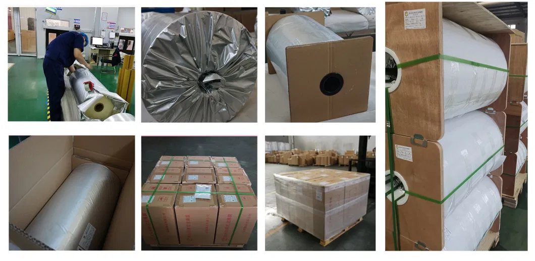 BOPA/Nylon Film for Packing of Meat