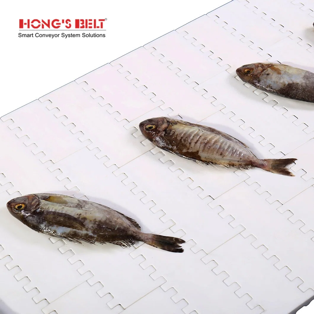 Hongsbelt Flat Top Modular Conveyor Belt Modular Belt for Meat Poultry Seafood Processing