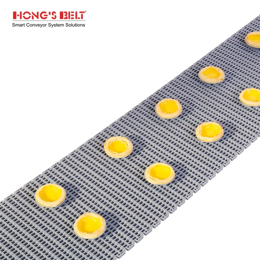 Hongsbelt Easy Clean Antibiotic Conveying Flush Grid Modular Plastic Conveyor Belt for Food