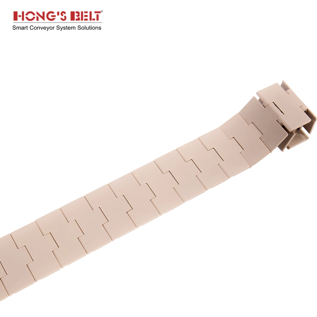 Hongsbelt HS-828-K325 Plastic Straight Running Flat Top Equipment Chain Conveyor Belt Chain Conveyor Chain