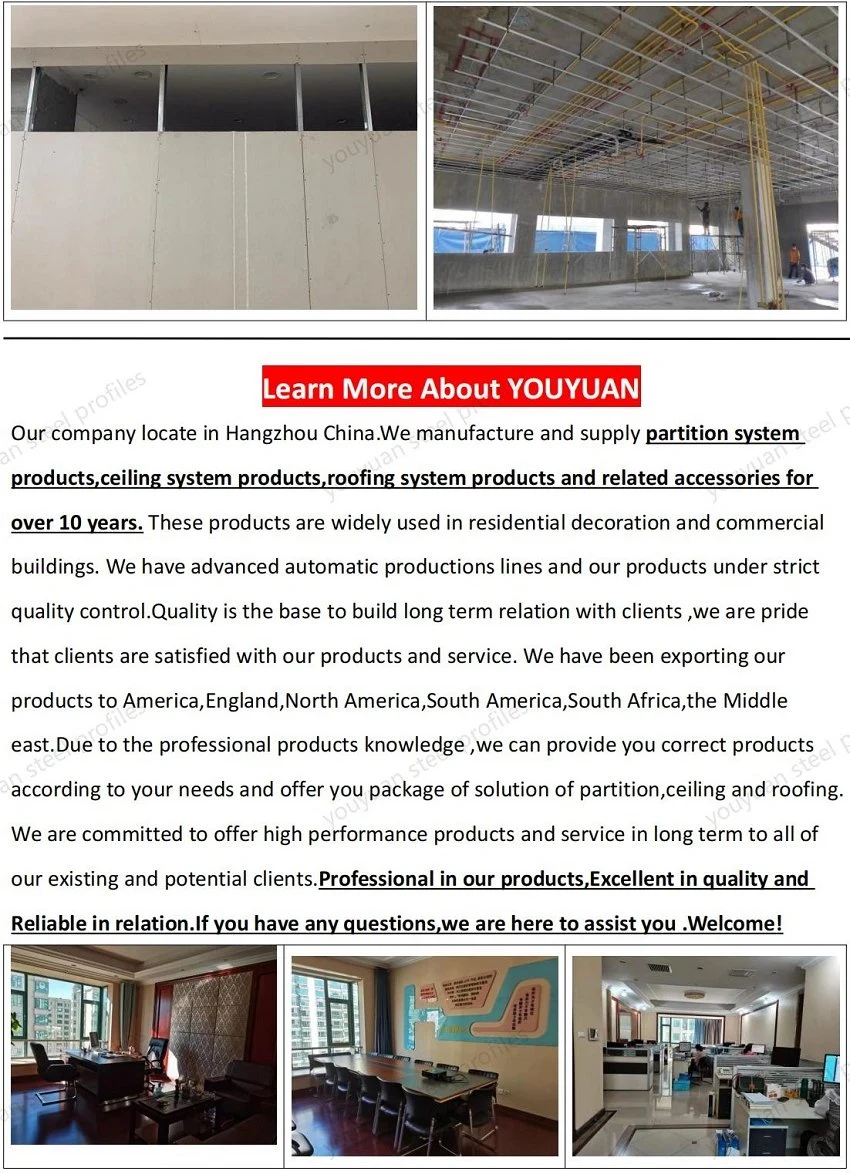 Steel Wall Angle Bar/Extruded Omega Profile/Drywall Corner Bead/Metal Profiles for Ceiling