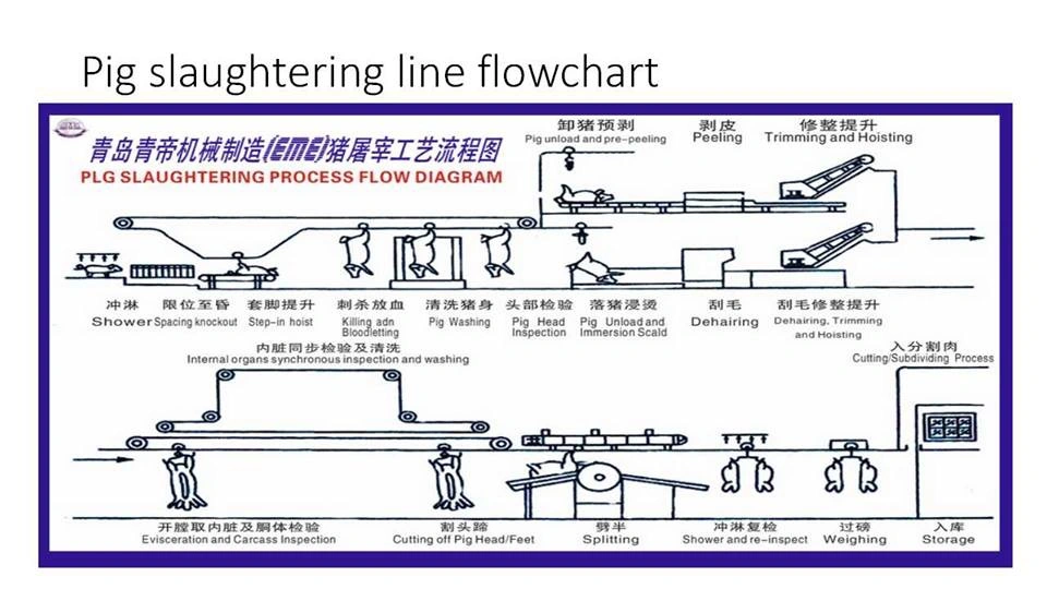 50-300 Pigs Agricultural Slaughterhouse Equipment Pork Carcass Killing Meat Processing Machinery Dehairing Machine for Slaughtering Machine