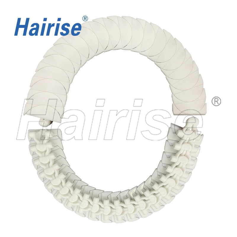 Manufacturer of POM Multiflex Flexible Flat Top Sushi Chain