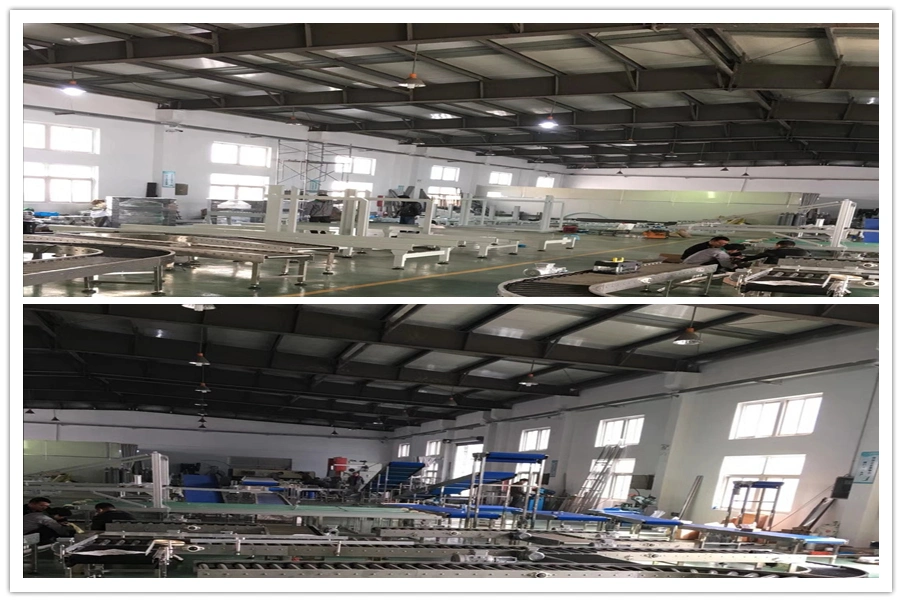 Packing Line Factory Plastic Flat Top Straight Food Grade Sidewall Flight 800 Series Conveyor Modular Belt