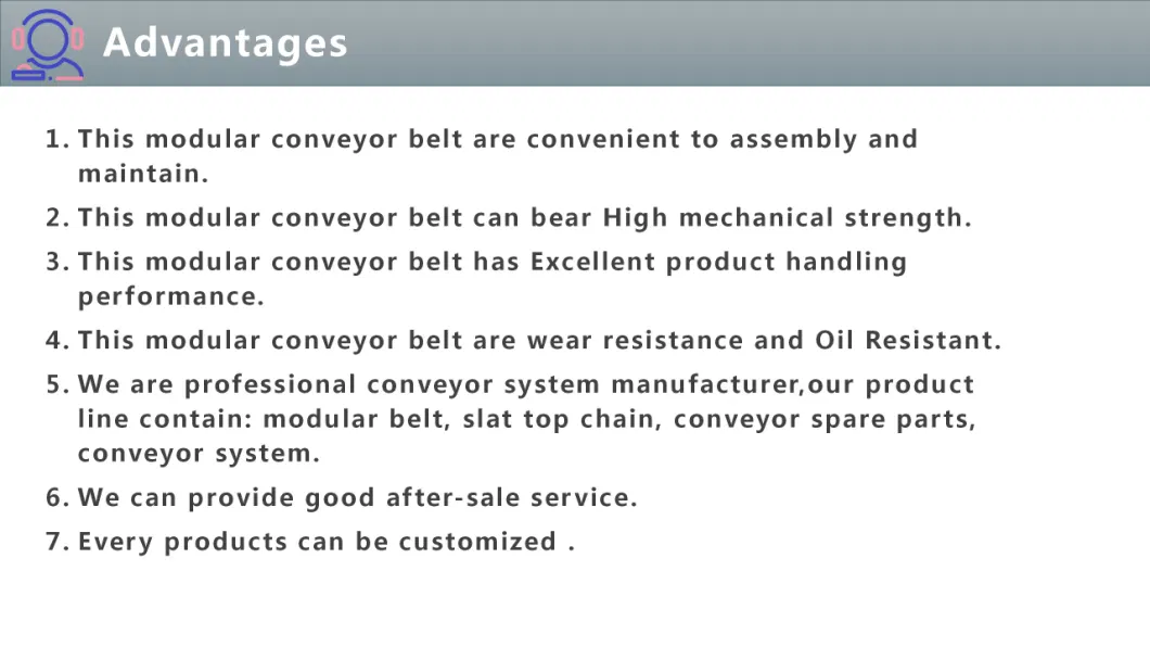 2022 New Hot Sales Conveyor Modular Belt Plastic