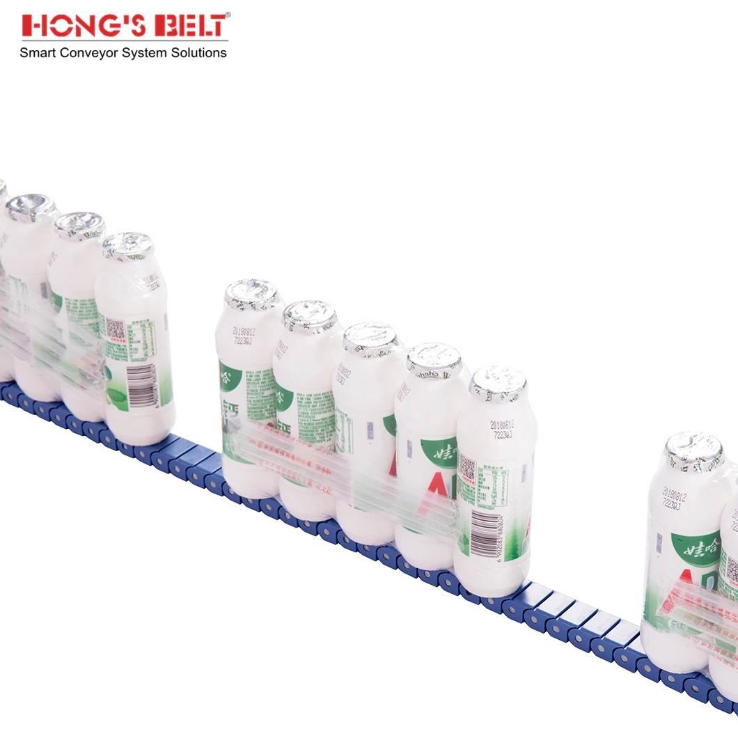 Hongsbelt HS-40p Keel Chain Straight Running Chain Tabletop Chain