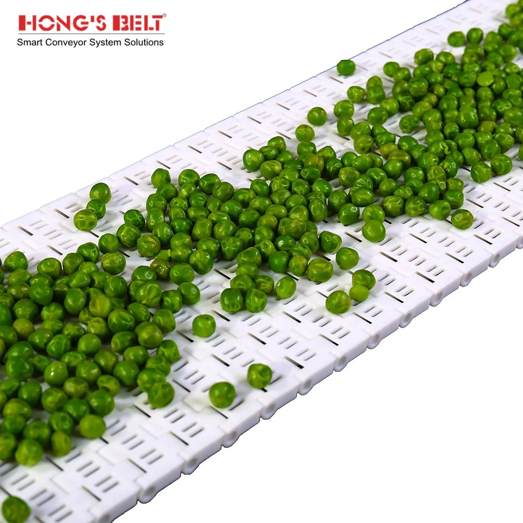 Hongsbelt HS-1000b Perforated Flat Top Modular Plastic Conveyor Belt for Shrimp Processing