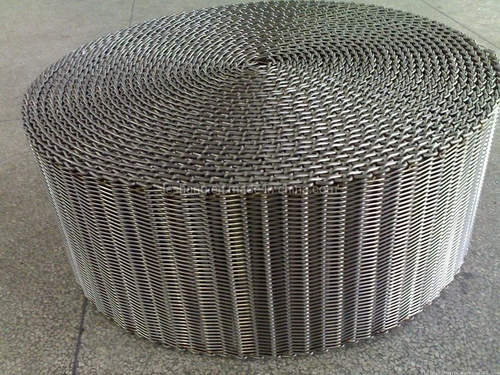 Conveyor Belt/Wire Mesh Belt/ Flex Flat Belt/Galvanized Wire Belt