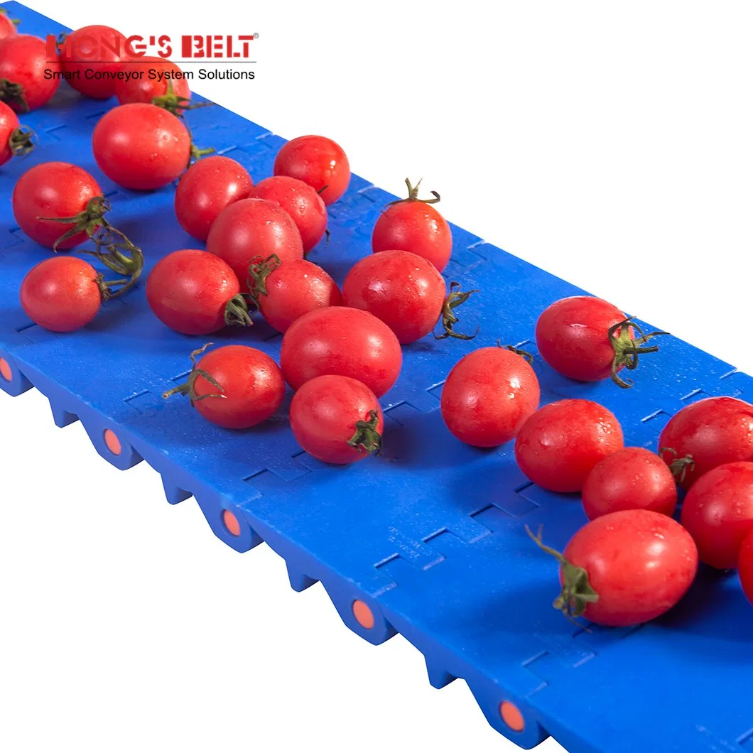 Hongsbelt HS-100A-HD Antibiotic Easy Clean Flat Top Modular Plastic Conveyor Belt for Food