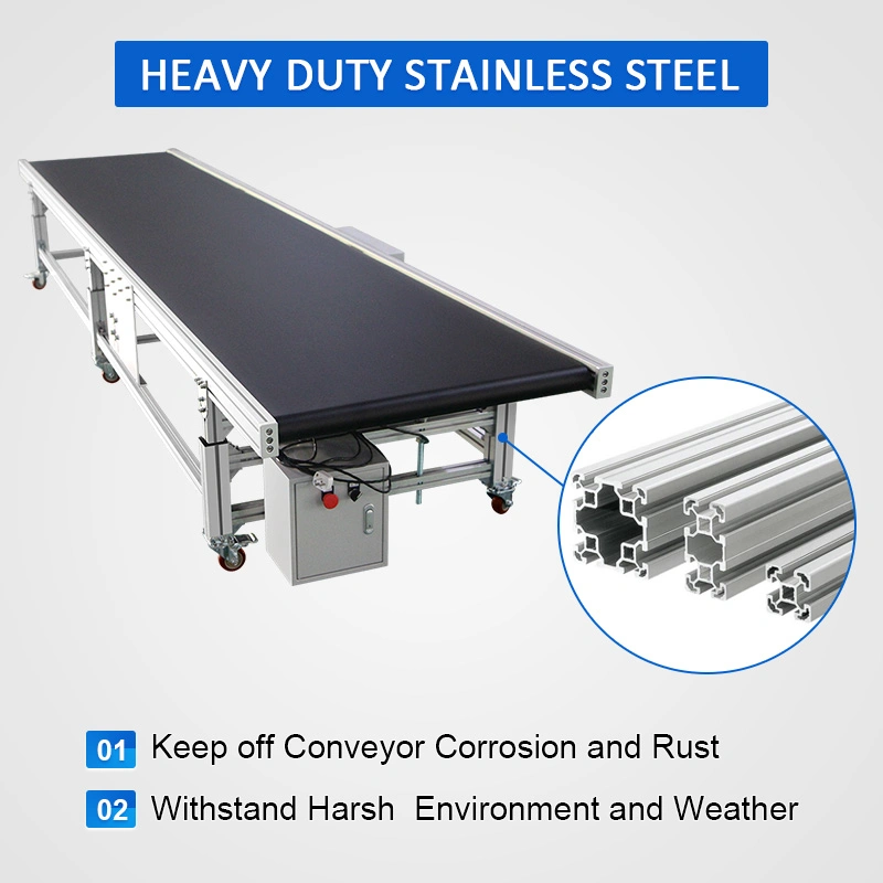 Bifa China Manufacturer Custom Conveyor System