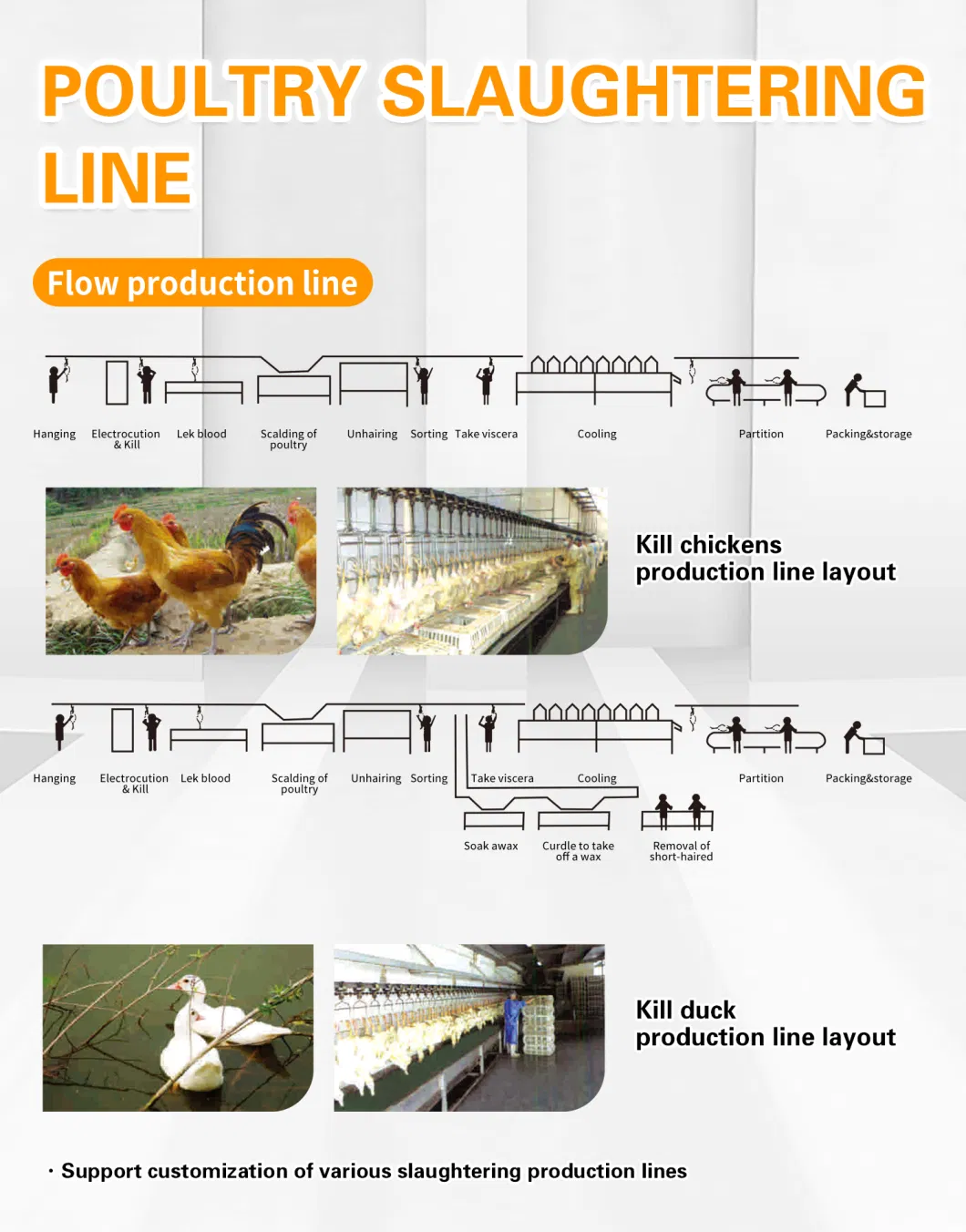 High Quality Automatic Poultry Chicken Meat Processing Line Machine Slaughtering