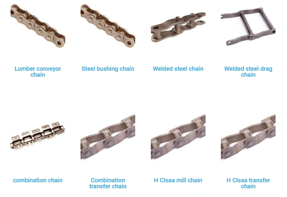 Conveyor Chain Double Flex Cast Iron Cast Chain Cc600 Cc 600 C2082h Chain Drop Forged Forging Casting Chain for Handling Gas Bottles