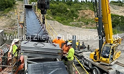 Rubber Conveyor Belt for Construction Food &amp; Beverage Power Generation