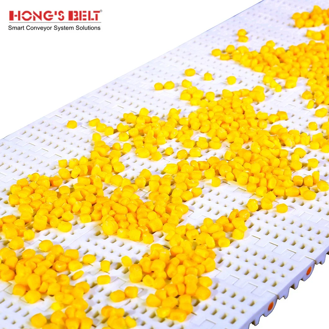 Hongsbelt HS-100b Easy Clean Flush Grid Modular Plastic Conveyor Belt for Sea Food