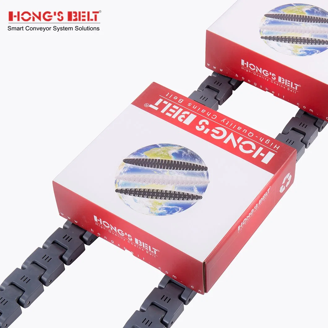 Hongsbelt F3000b-Tab Multi Flex Plastic Chain Hinge Conveyor Keel Chains