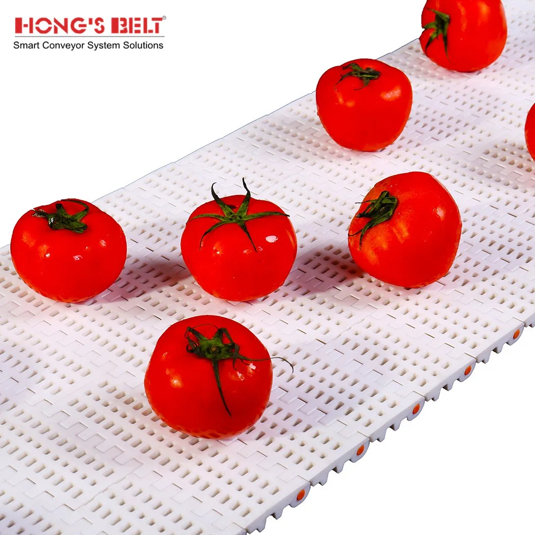 Hongsbelt HS-100b Easy Clean Flush Grid Modular Plastic Conveyor Belt for Sea Food