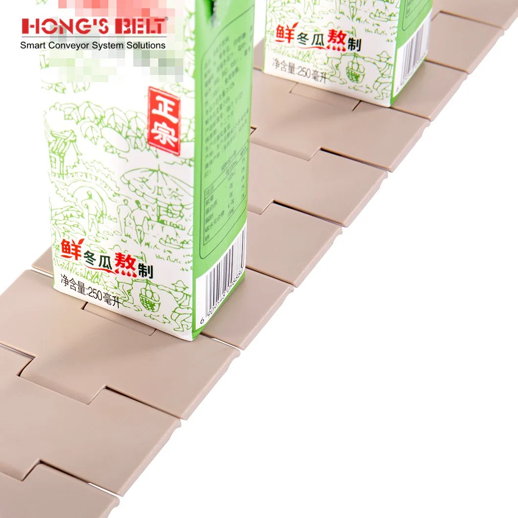 Hongsbelt HS-828-K325 Plastic Straight Running Flat Top Equipment Chain Conveyor Belt Chain Conveyor Chain