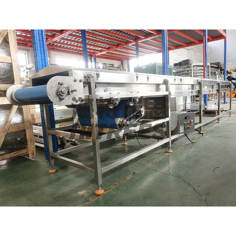 Direct Supply Contact Crust Freezing Equipment with Flat Belt