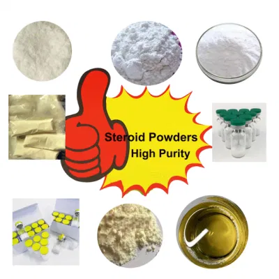 Pharmazeutische Chemikalien Roh Pulver mit Ameria Russland UK Europa Domestic Versand