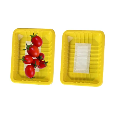 22.5X17.3cm Frischfleischtablett &amp; Container Blister Verpackung