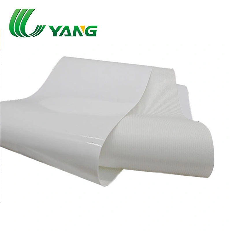 Habasit Fab-5er Silicone Conveyor Belt for Frozen Food Chemical Industry