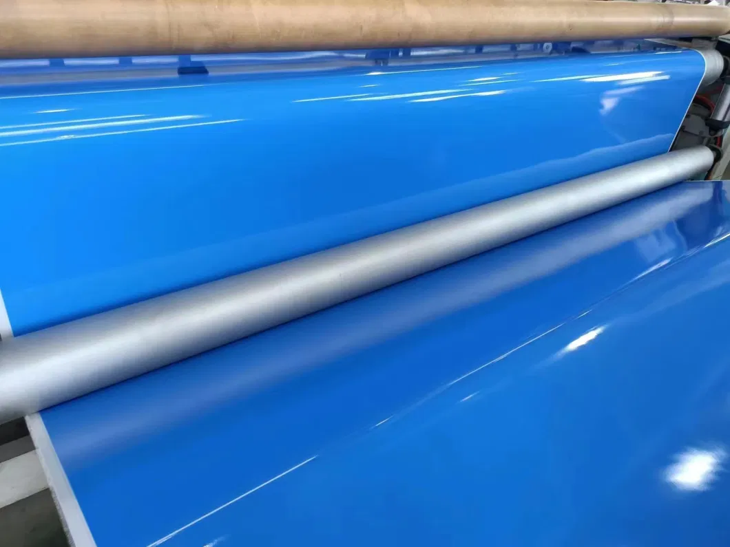 Habasit Fab-5er Silicone Conveyor Belt for Frozen Food Chemical Industry