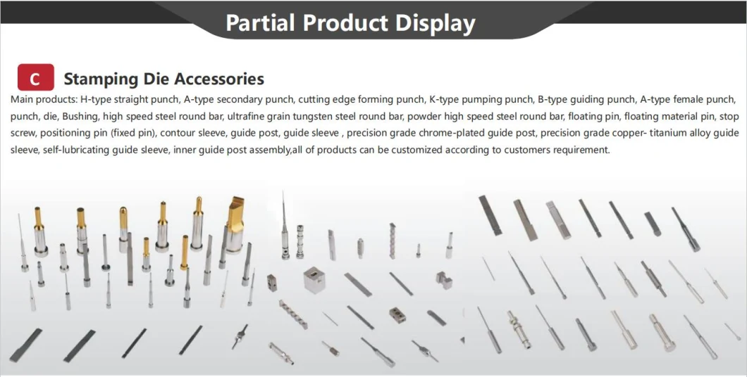 OEM High Precision Mold Spare Parts/Mold Core/Mold Components