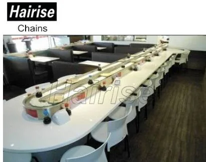 Hairise Plastic Chain for Sushi Conveyor Wtih FDA&amp; SGS Certificate