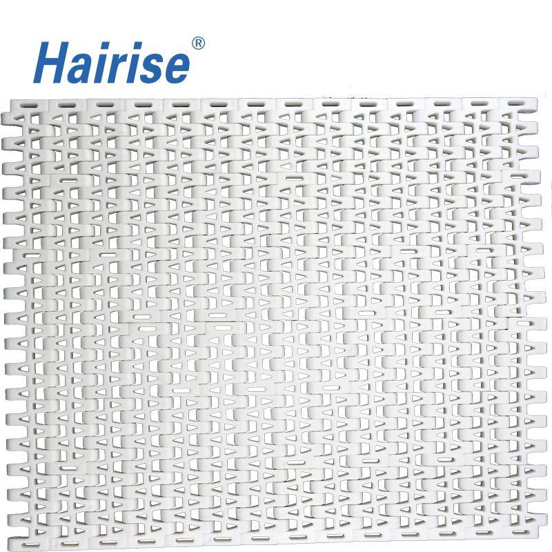 Hairise Local Manufacturer Plastic Conveyor Modular Belt