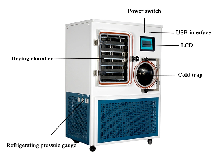 30kg/24h Factory Pharmaceutical in-Situ Electric Heating Vacuum Freeze Dryer Suppliers