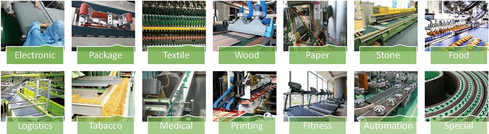 Paper Making Machine Factory Tire Ep Fabric for Conveyor Belts Conveyor Belt Manufacturer