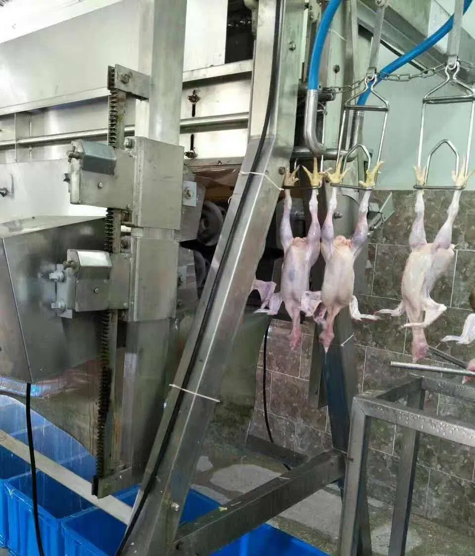 Zhongda Brand Finished Full 3000 Chicken Per Hour Slaughter Machine Line Installed Line in Dubai