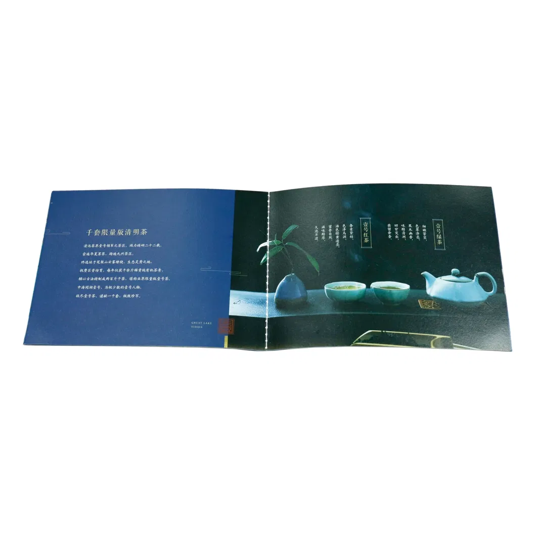 Custom Foldable Sadding Stitch Perfect Binding Company Booklet Product Manual