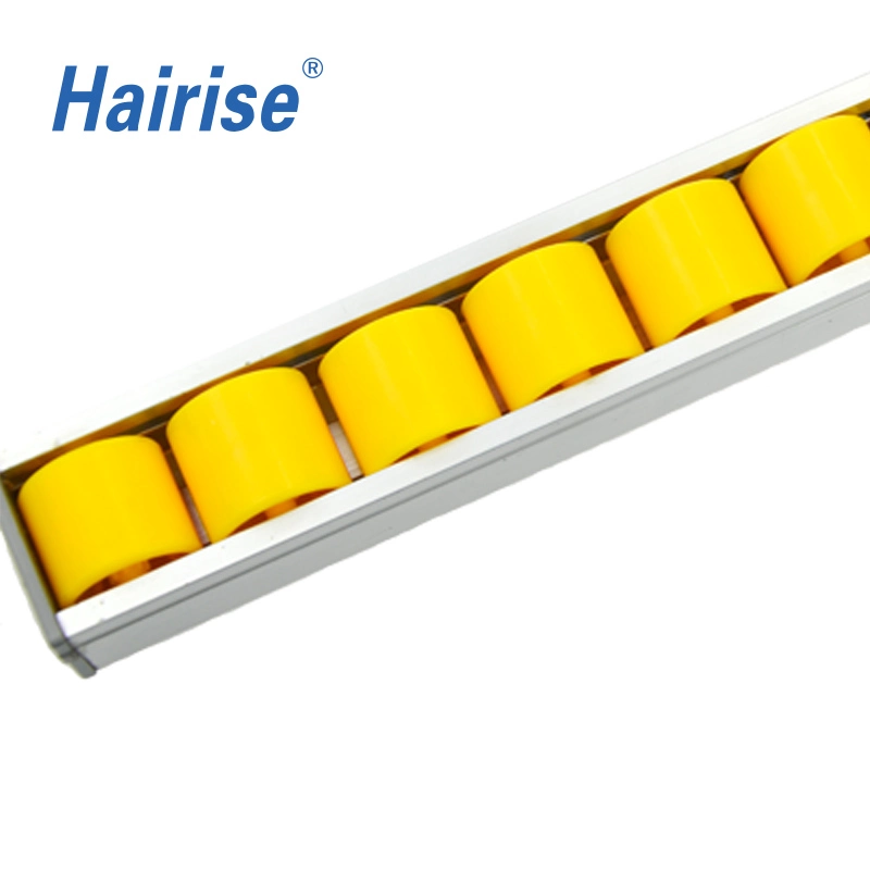 Hairise Brand Conveyor Side Guide Plastic Profiles Chain Guide Manufacturer Wtih ISO Certificate