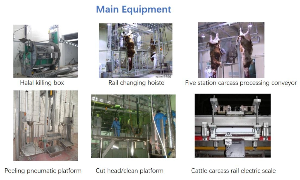 Cattle Sheep Pork Pig Slaughter/Slaughtering Machine with CE