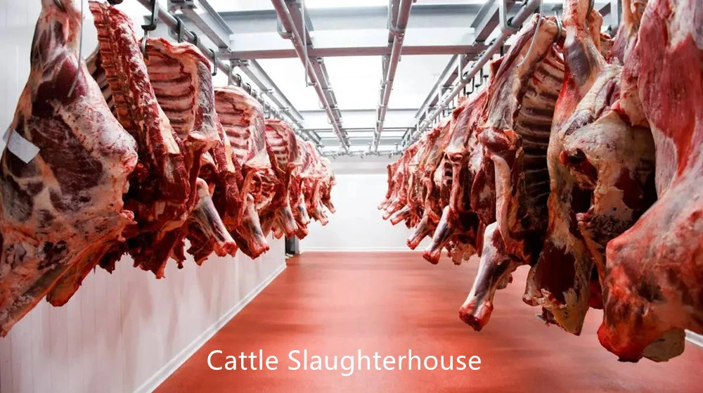 Cattle Sheep Pork Pig Slaughter/Slaughtering Machine with CE