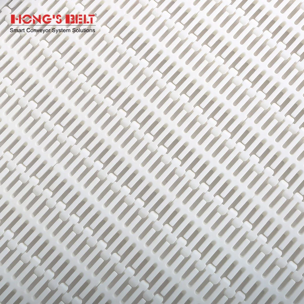 Hongsbelt HS-103b-HD-an Nub Top Modular Plastic Conveyor Belt for Meat Seafood Processing