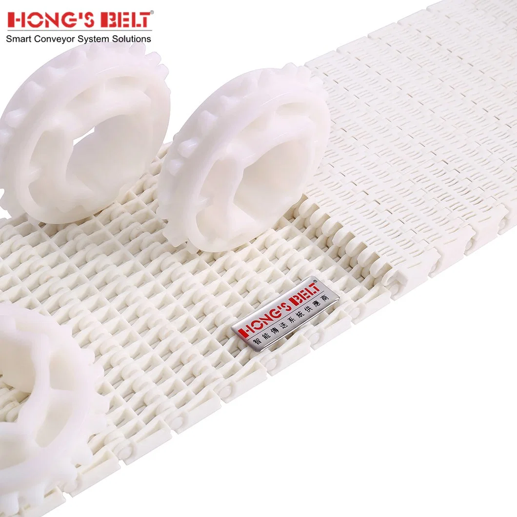 Hongsbelt HS-703b-N Modular Plastic Modular Conveyor Belt for Seafood Processing