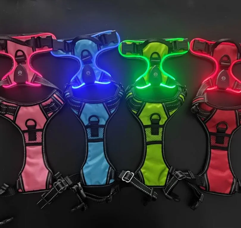 2024 Temu Hot Sell LED Pet Collar USB Charging Colorful Light Outdoor Safety Dog Collar