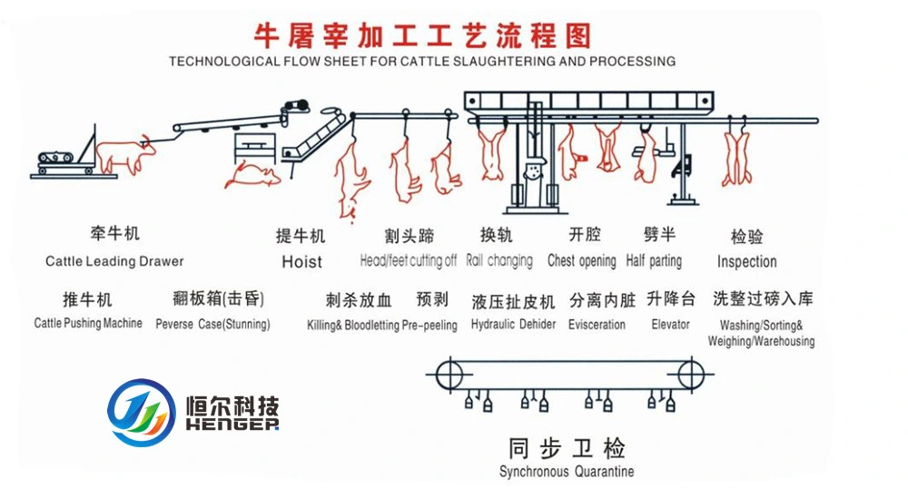 Cattle Sheep Pork Pig Slaughter/Slaughtering Machine with CE