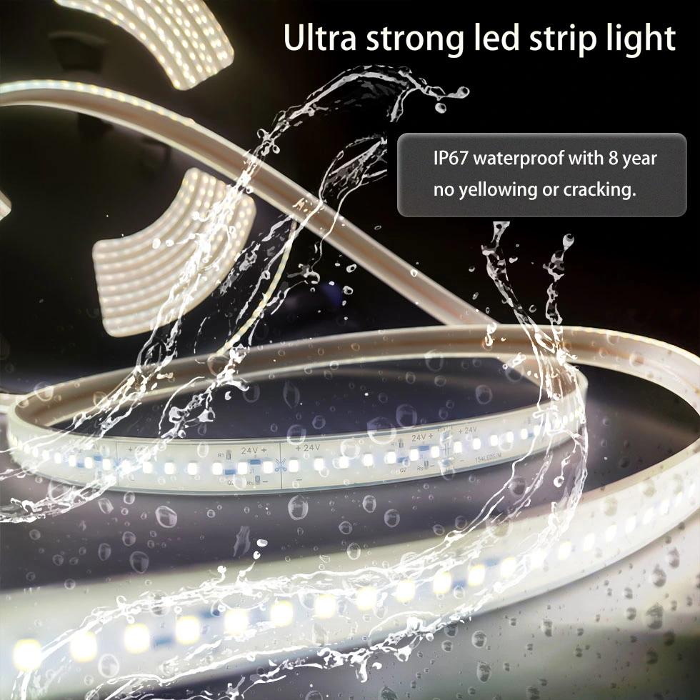 10mm 2835 144D LED Strip Waterproof Outdoor Cima Brand 10mm LED Strip 10mm LED Tape