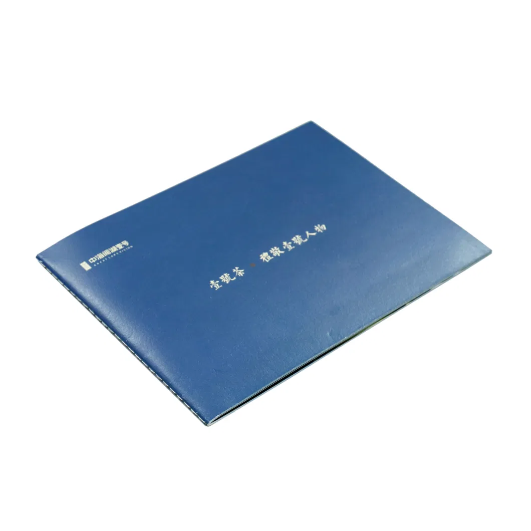Custom Foldable Sadding Stitch Perfect Binding Company Booklet Product Manual
