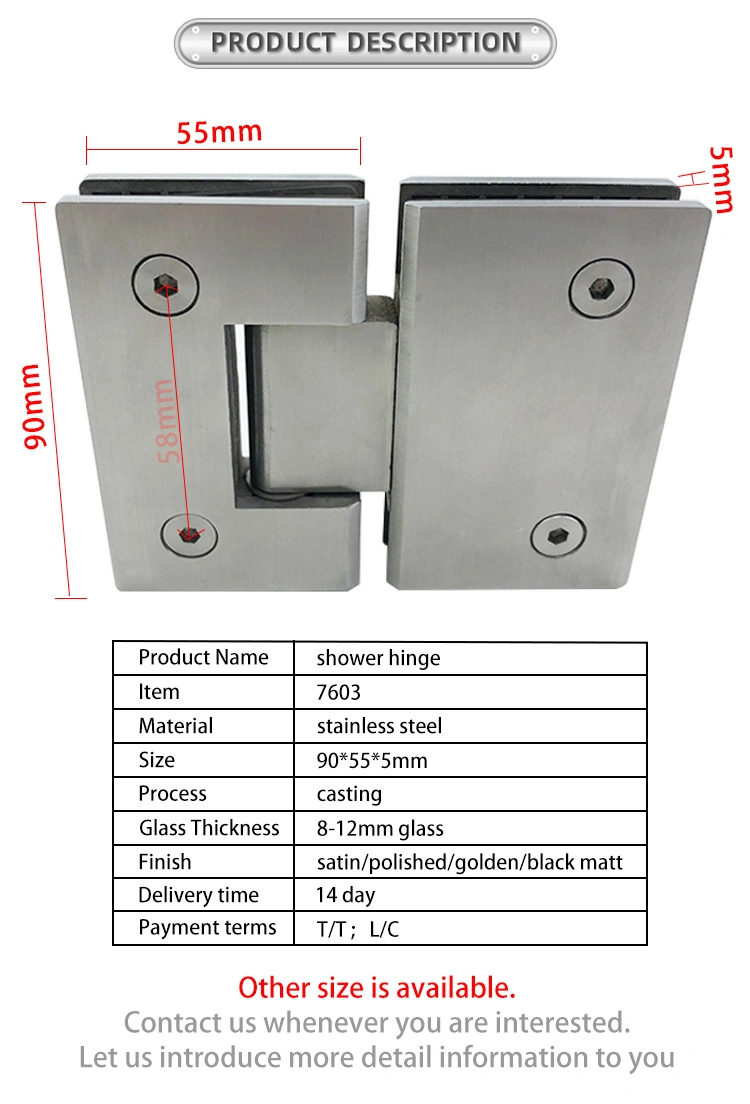 Bathroom Frameless Brass Zinc Alloy Stainless Steel Glass Shower Hinge 7603